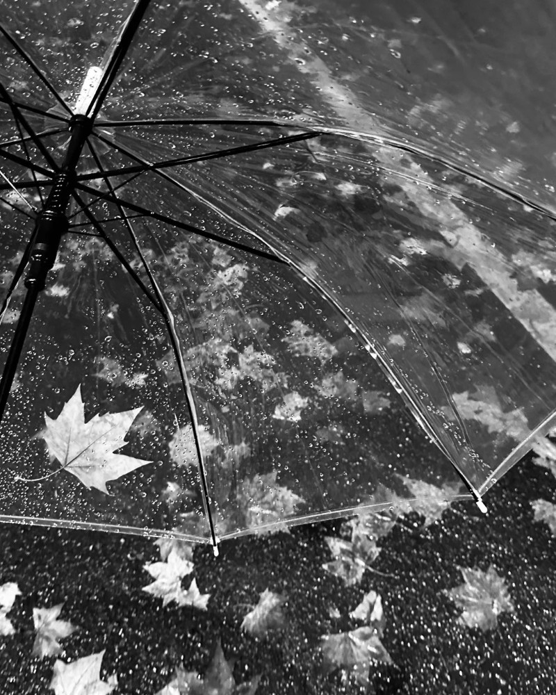black and white dp 11