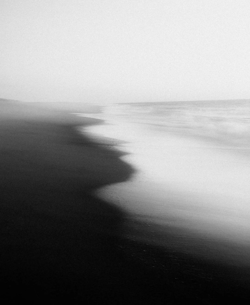 black and white dp 13