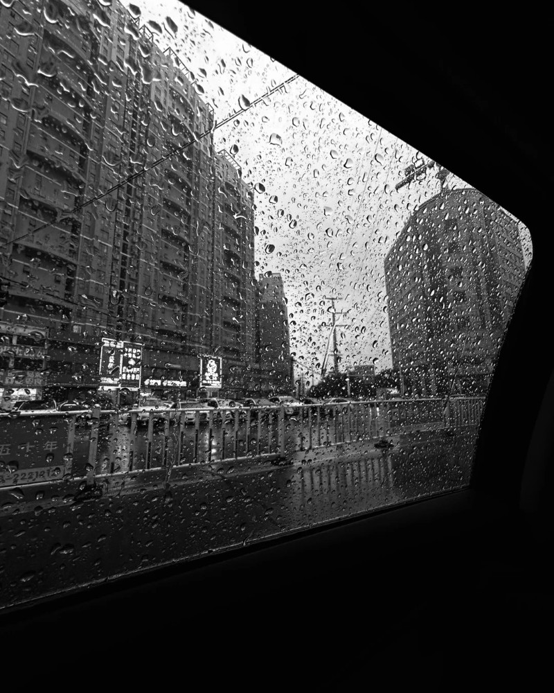 black and white dp 14