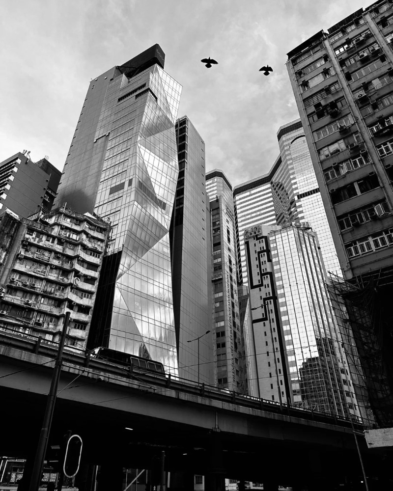 black and white dp 21