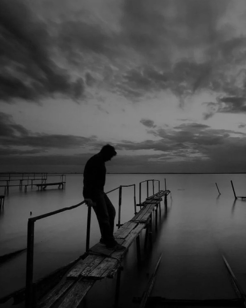 black and white dp 31