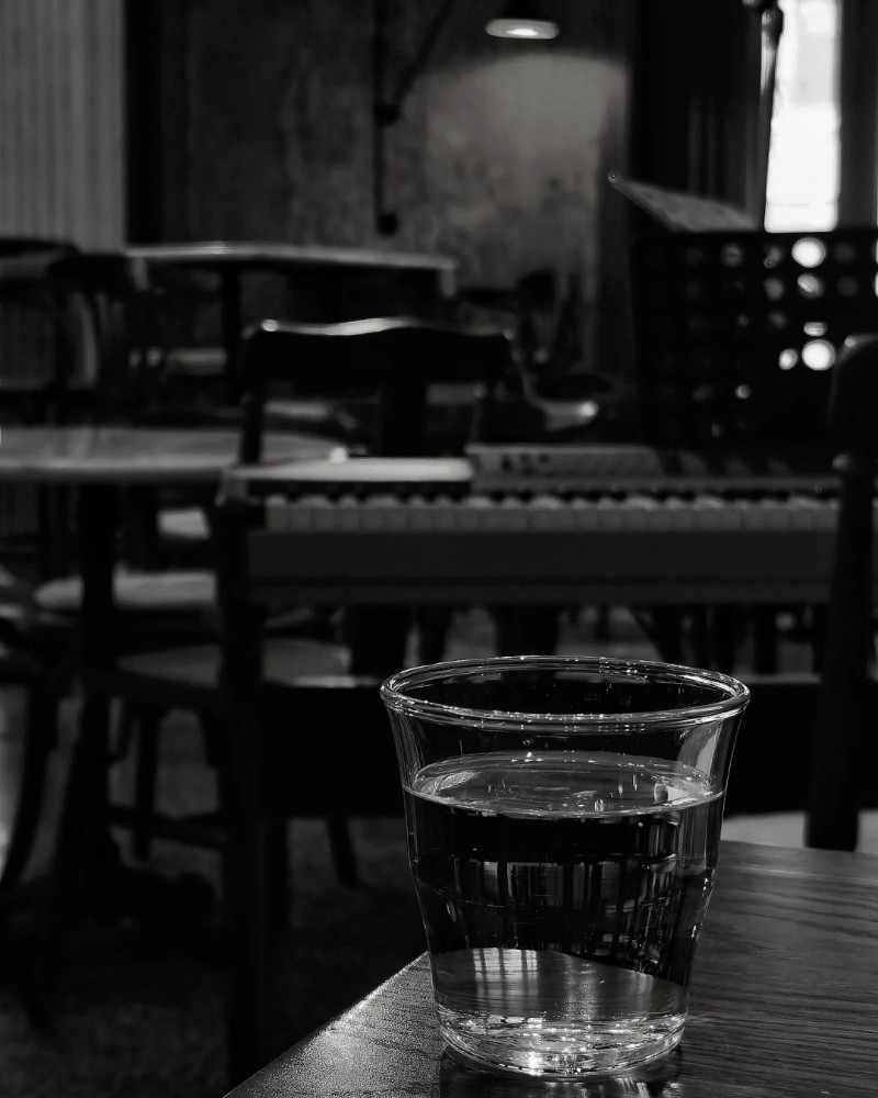 black and white dp 33