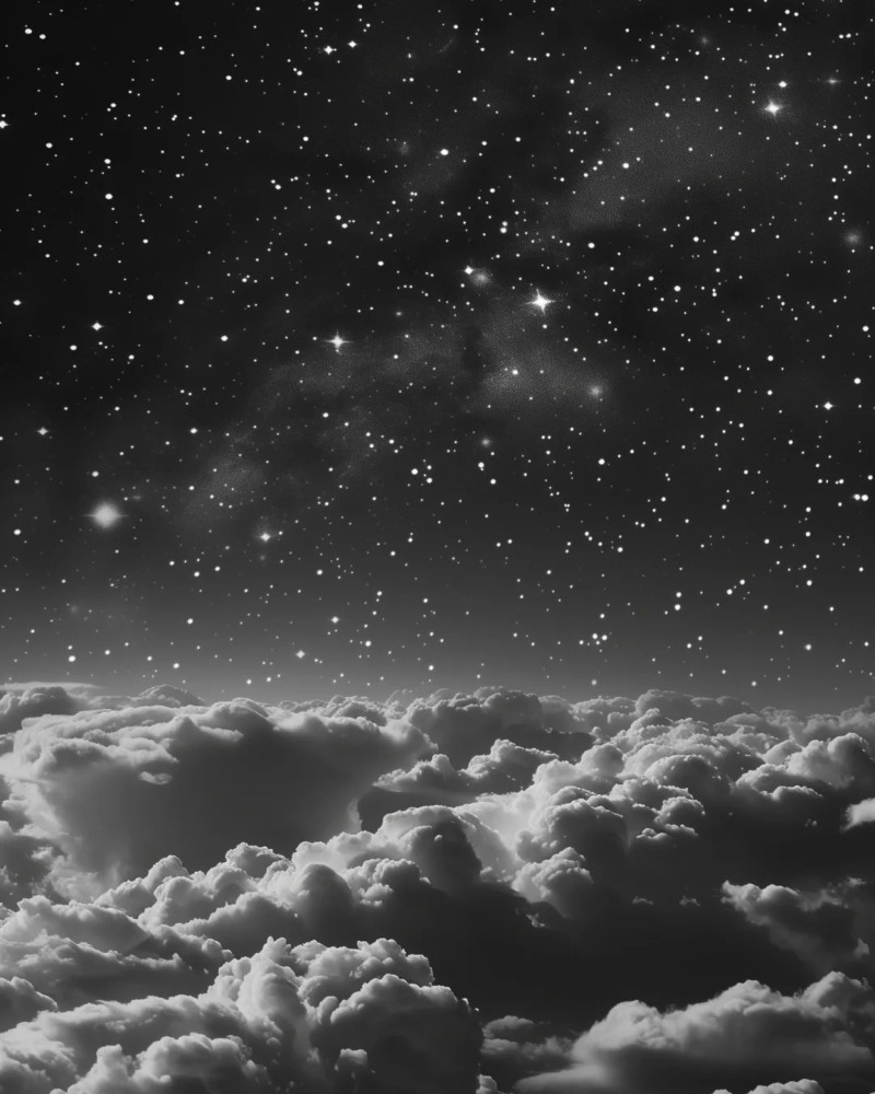 black and white dp 41