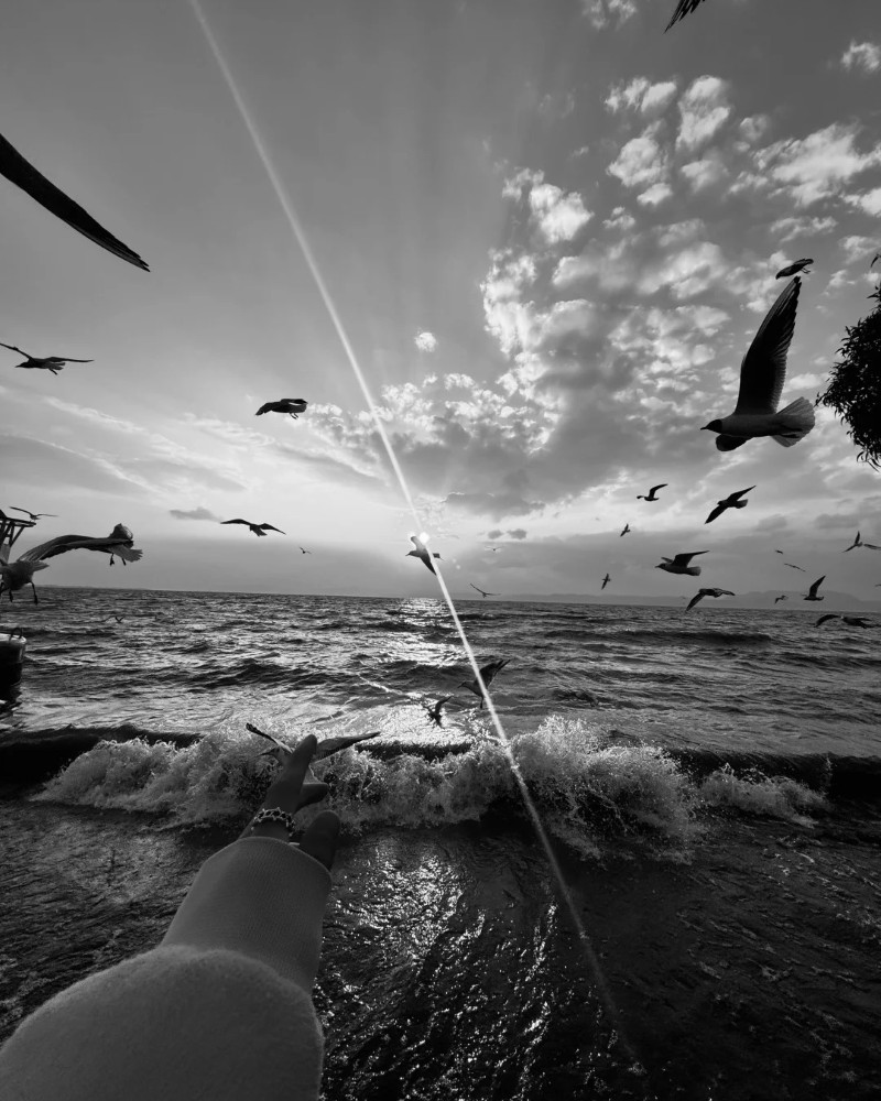 black and white dp 7
