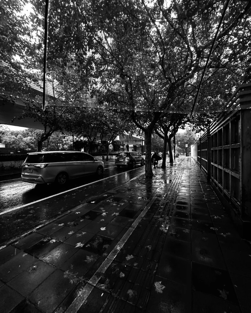 black and white dp 8