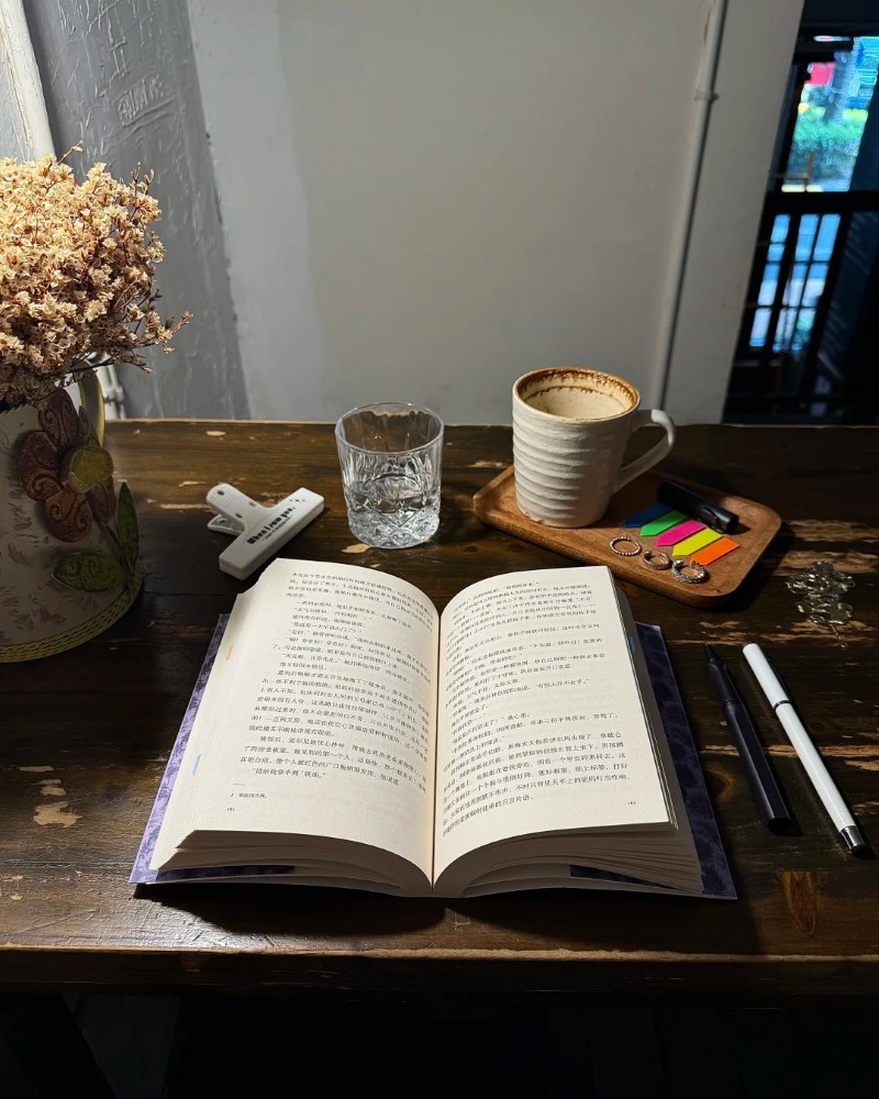 books images for dp 31