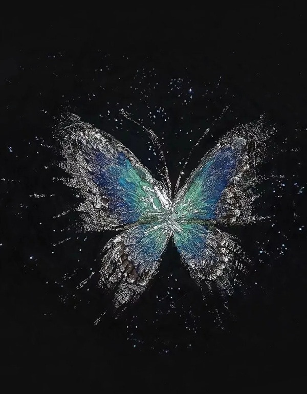 butterfly dp for whatsapp 10