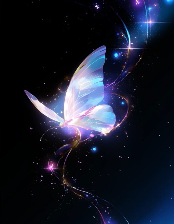 butterfly dp for whatsapp 13