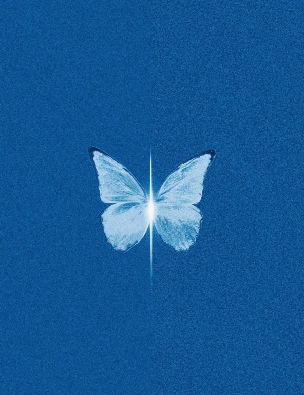 butterfly dp for whatsapp 22