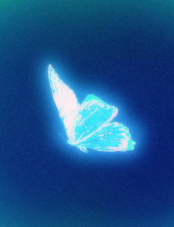 butterfly dp for whatsapp 23