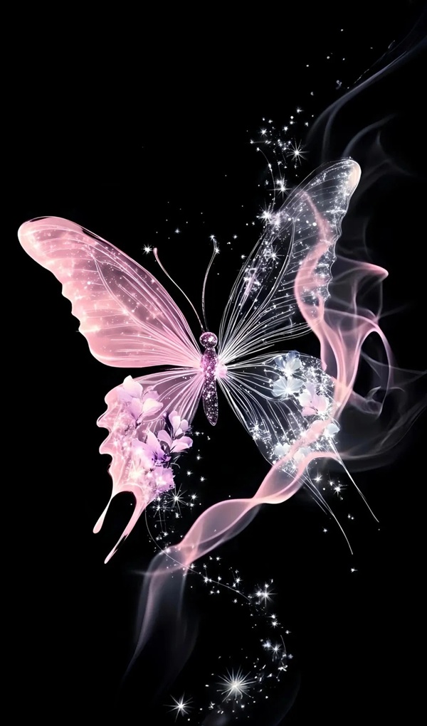 butterfly dp for whatsapp 5