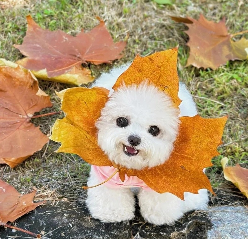 cute dp nature 10