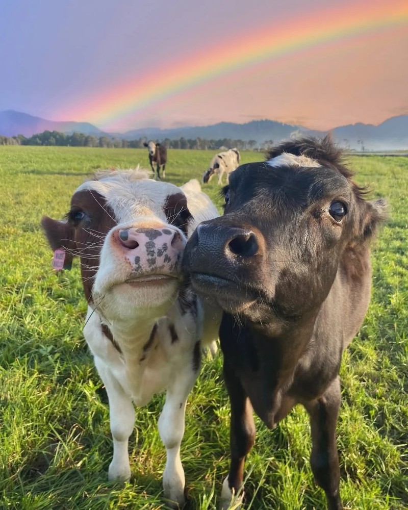 cute dp nature 8