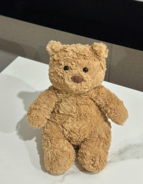 cute teddy bear dp 12