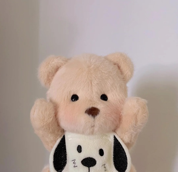 cute teddy bear dp 17