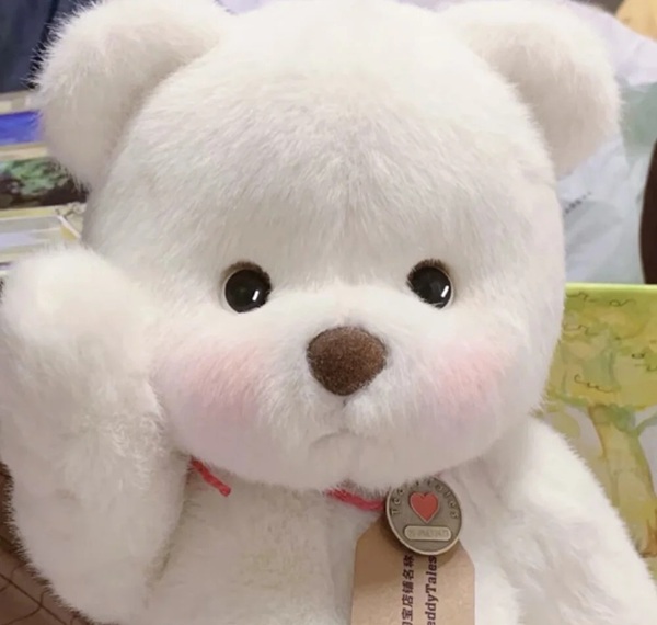 cute teddy bear dp 21