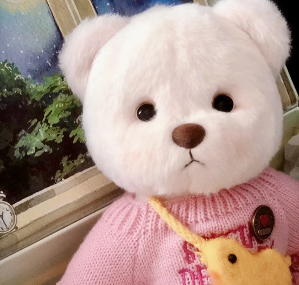 cute teddy bear dp 23