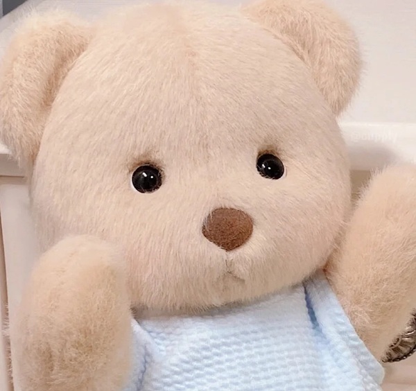 cute teddy bear dp 24