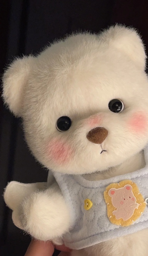 cute teddy bear dp 8