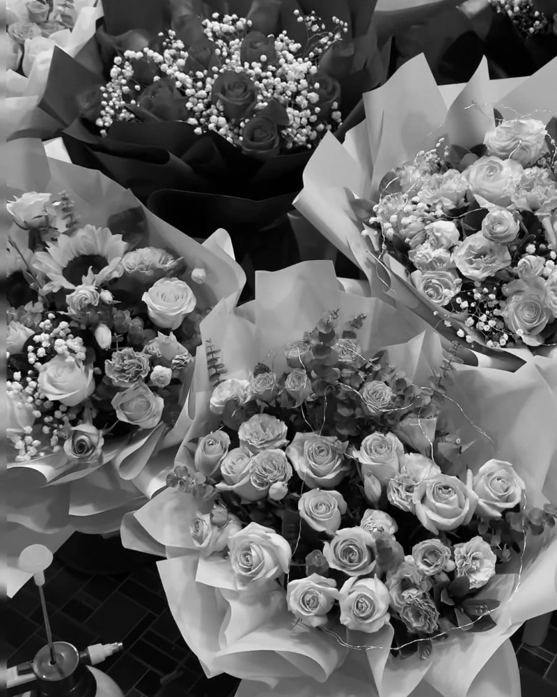 dp for whatsapp black and white