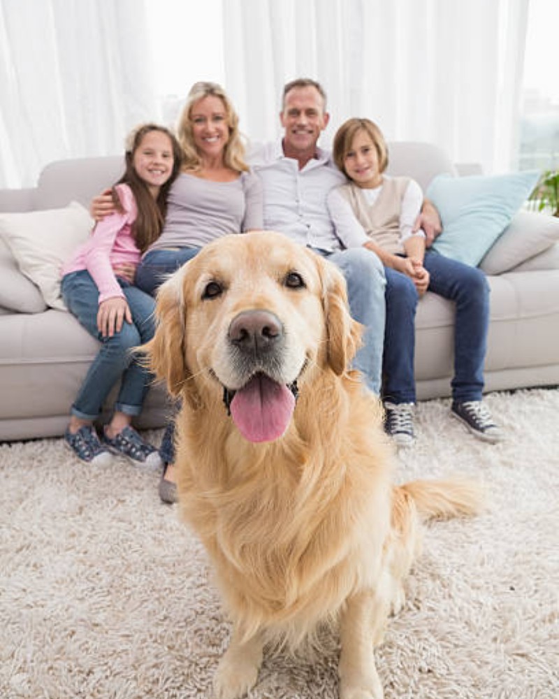family pic for dp 10