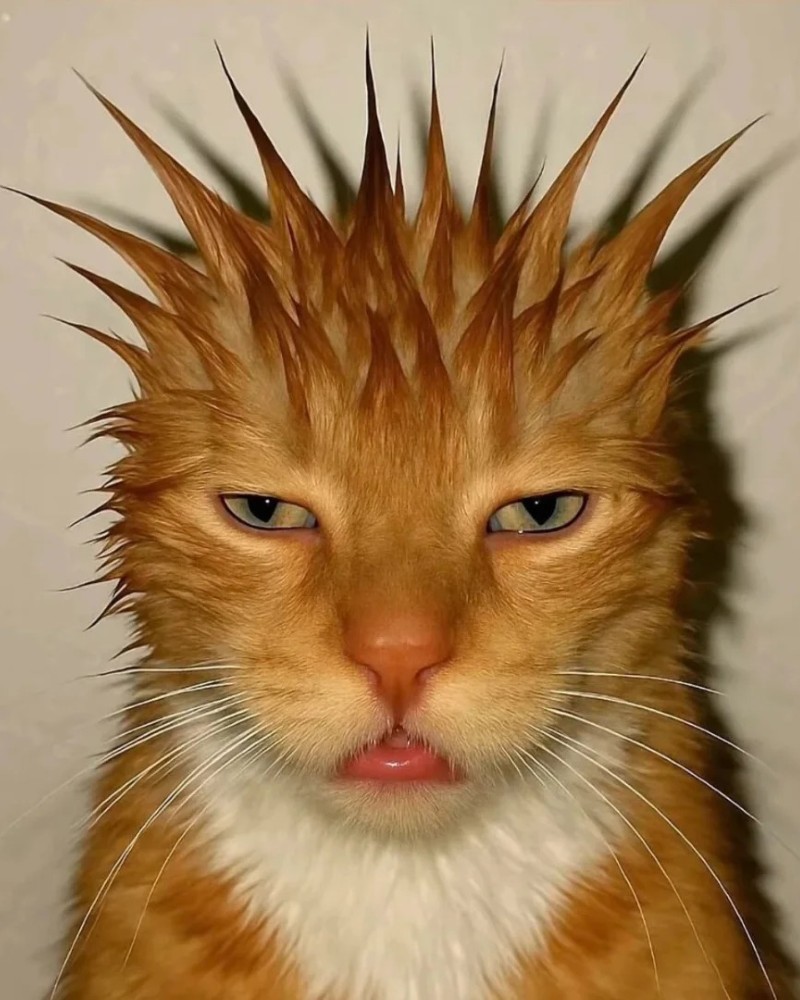 funny dp for youtube channel