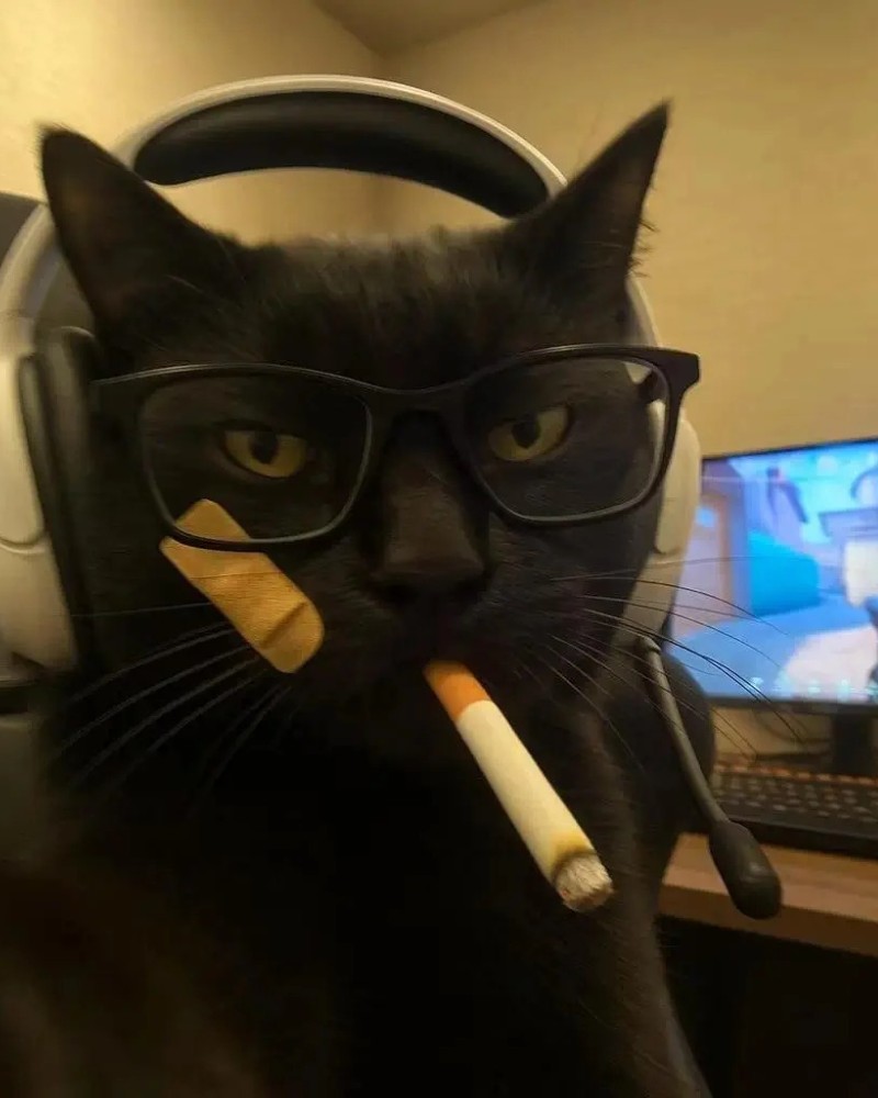 gaming dp for youtube channel