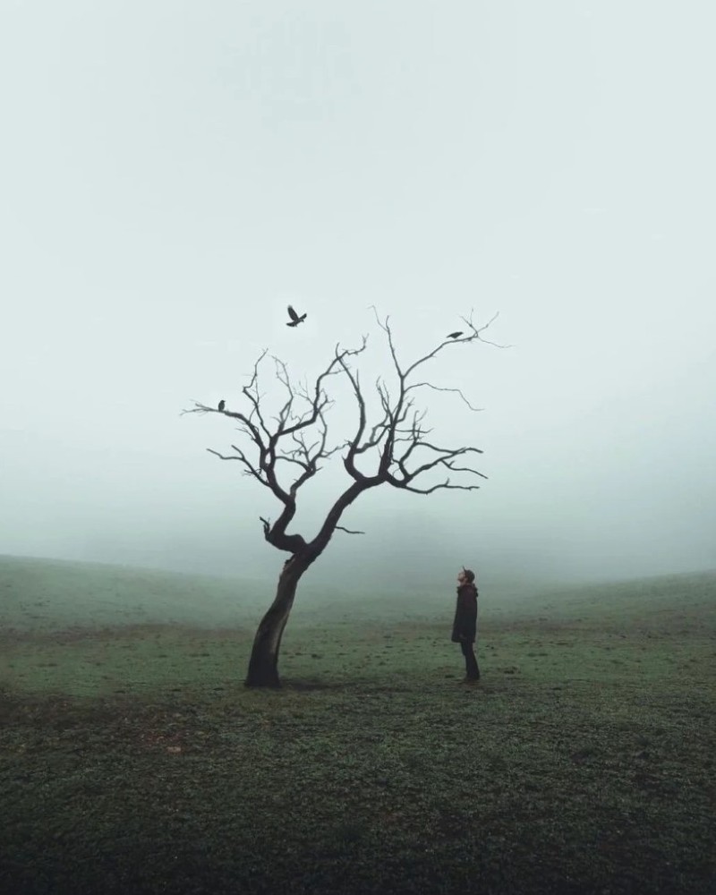 lonely images for dp 22