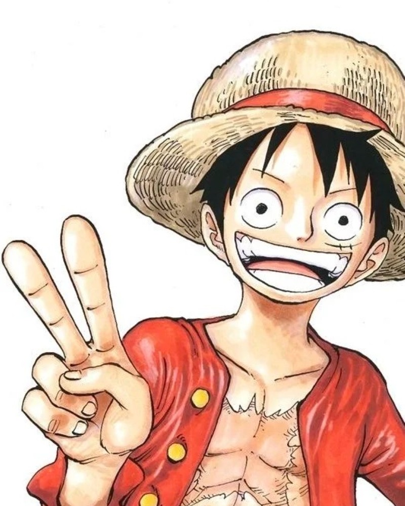 luffy dp 11