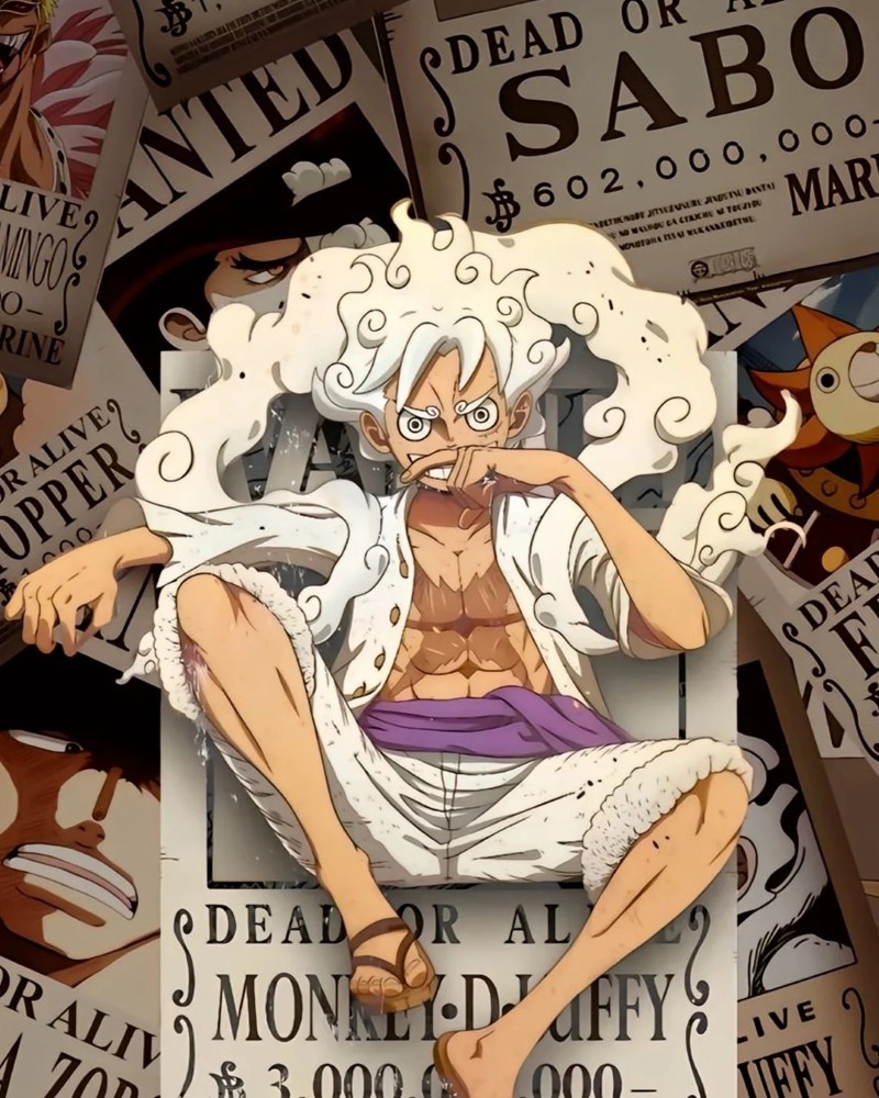 luffy dp 19