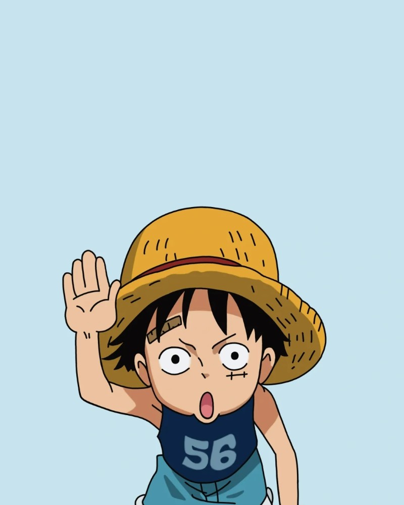 luffy dp 2