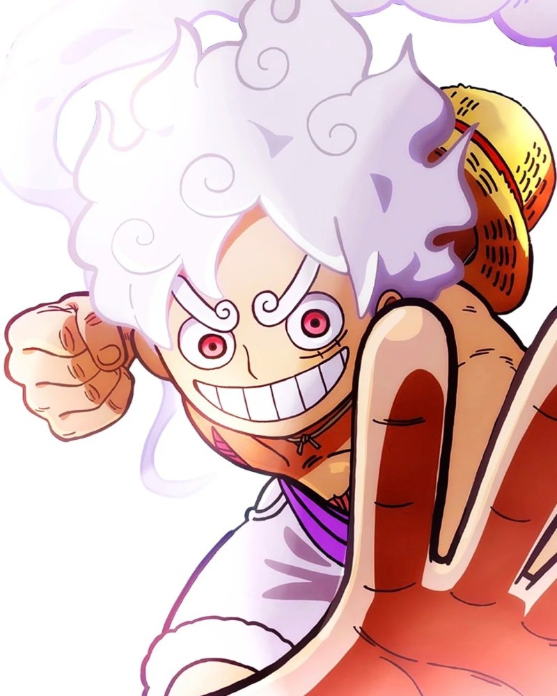 luffy dp 20