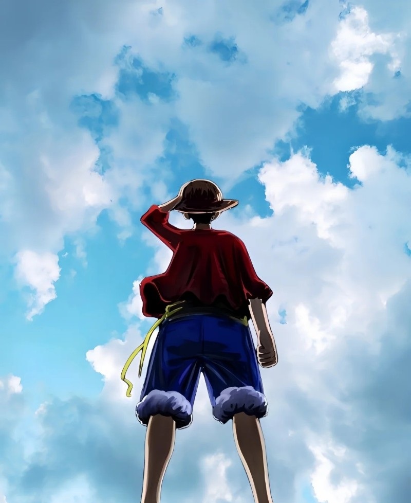 luffy dp 22