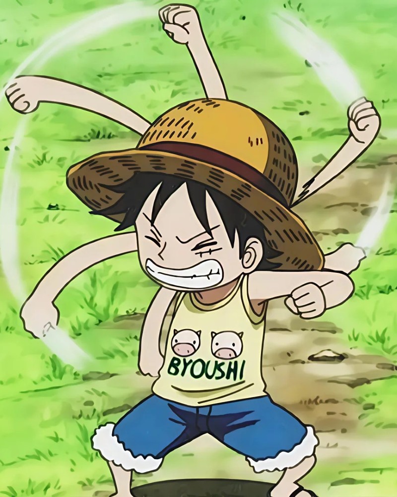 luffy dp 24
