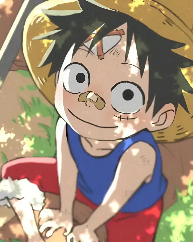 luffy dp 26