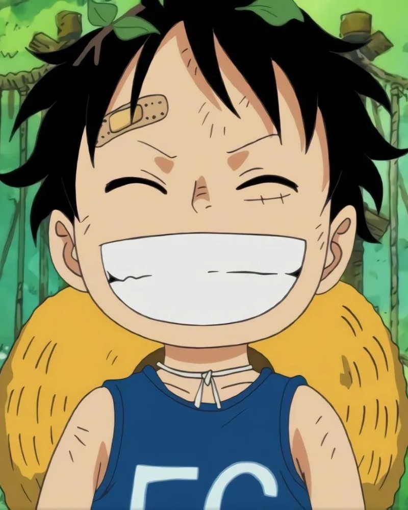 luffy dp 39
