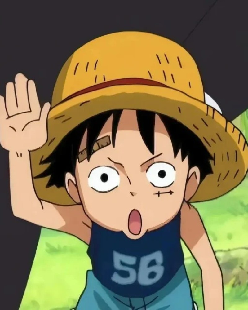 luffy dp 5