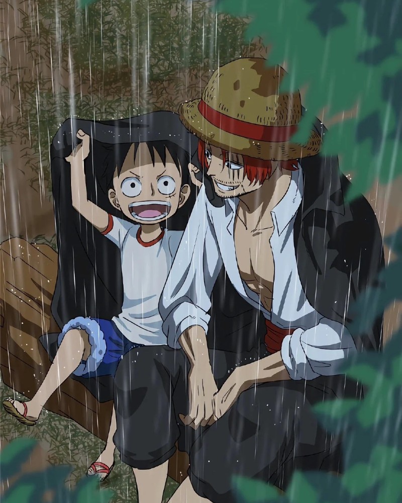 luffy dp 6