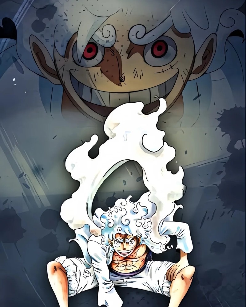 luffy dp 8
