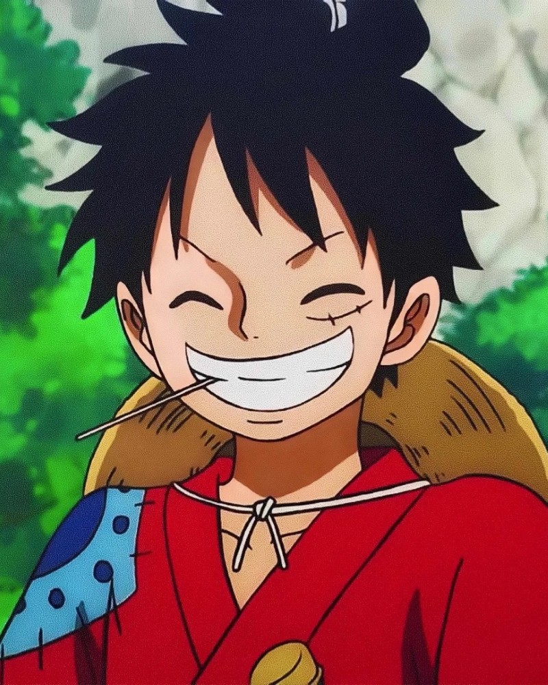 luffy dp 9