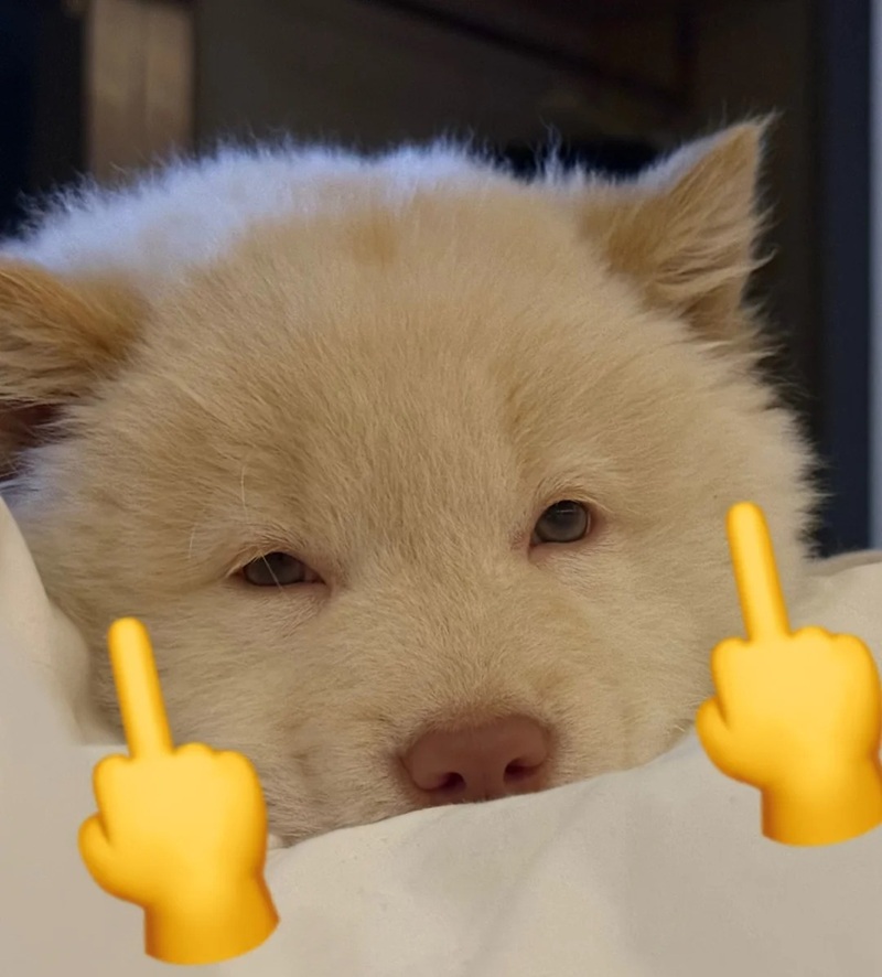 middle finger dp 14