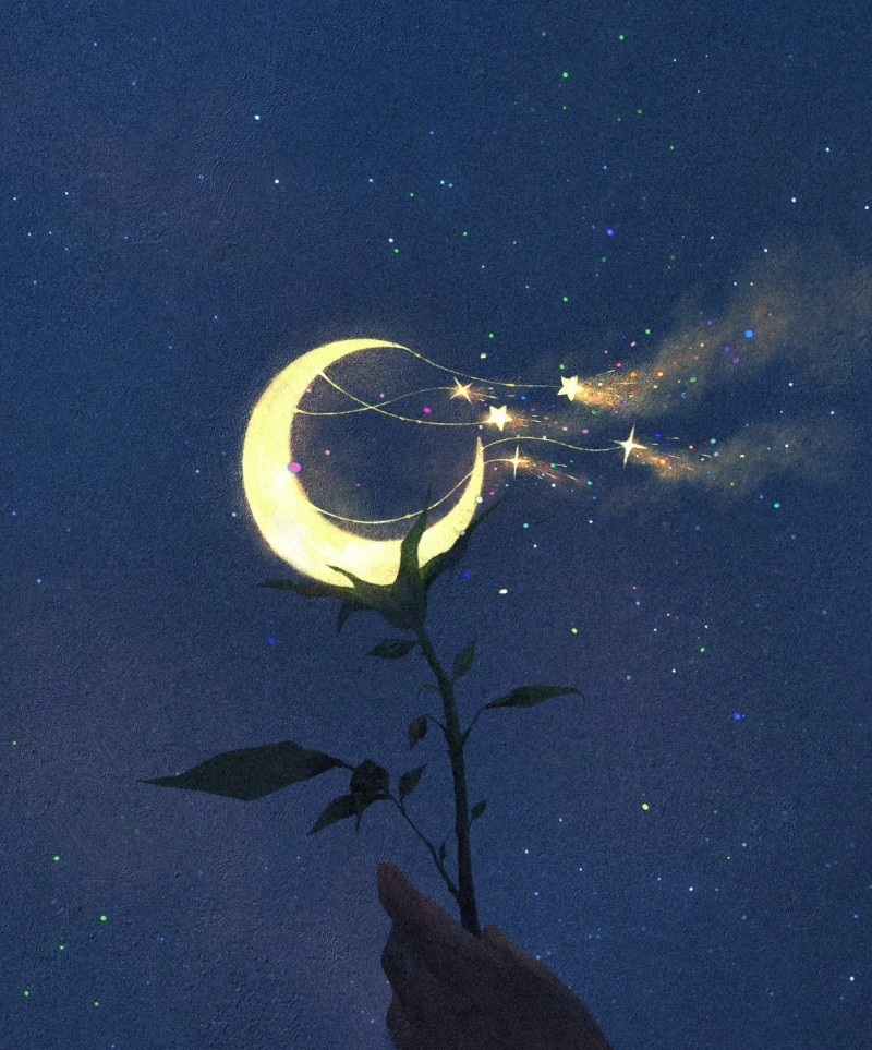 moon pics for dp 11