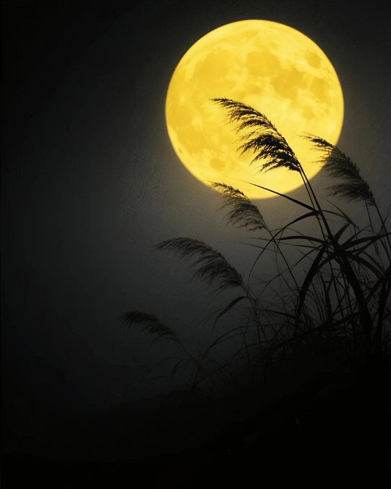 moon pictures for dp