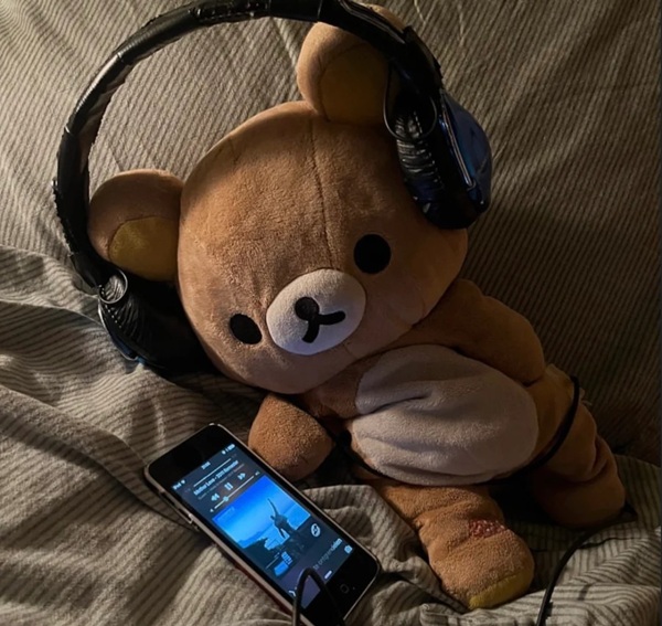 music lover dp 11