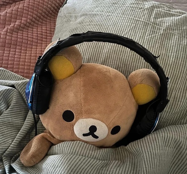 music lover dp 12
