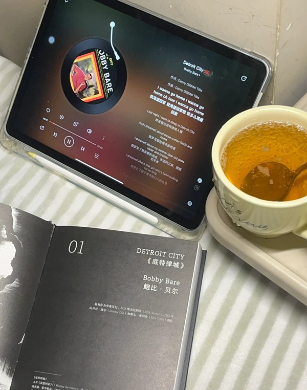 music lover dp 23