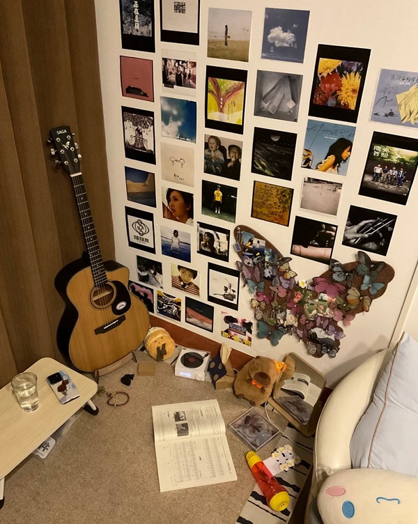 music lover dp 27