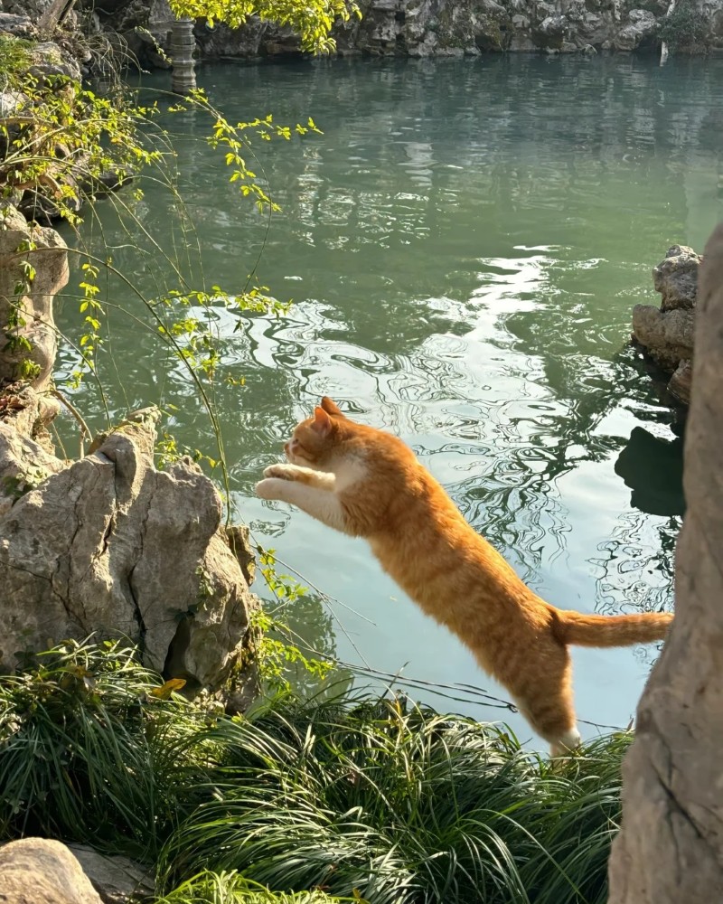 cute nature images for whatsapp dp
