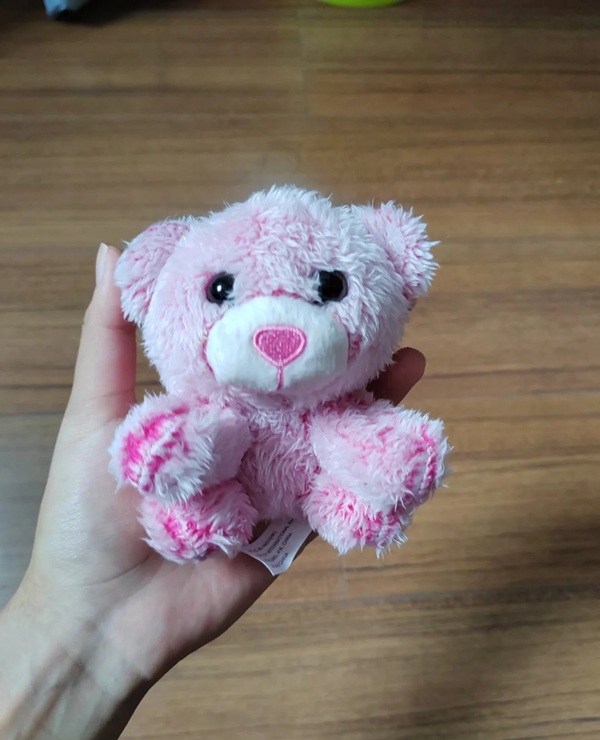 pink teddy bear dp 1