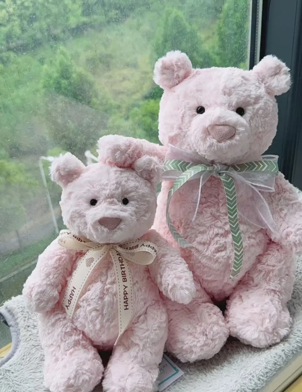 pink teddy bear dp 19